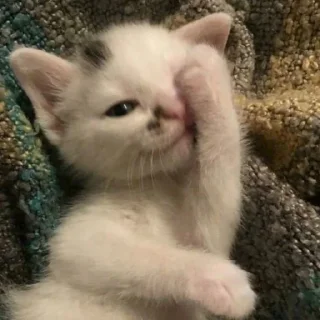 ☺️
