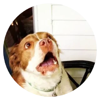 😱