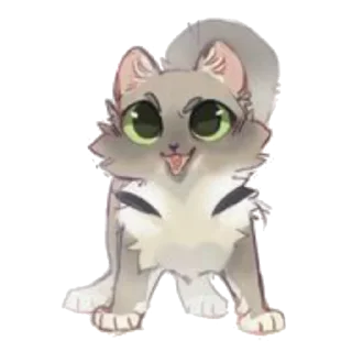 🐱