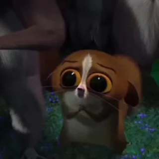 🌟
