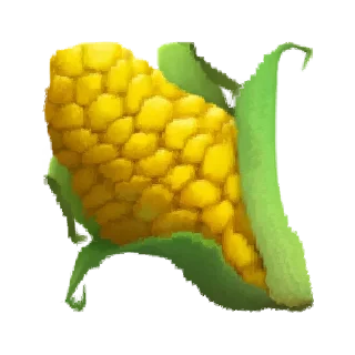 🌽