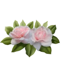 🌹
