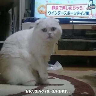 😢