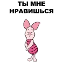 🐷