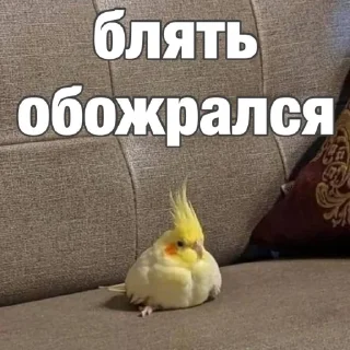 🫠