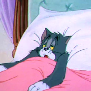 😴