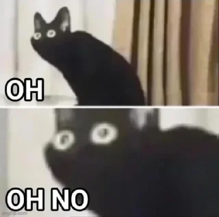 😱