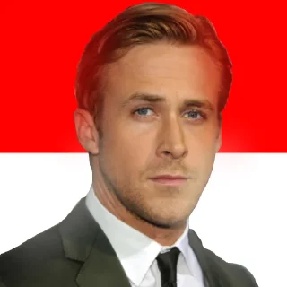 🇮🇩