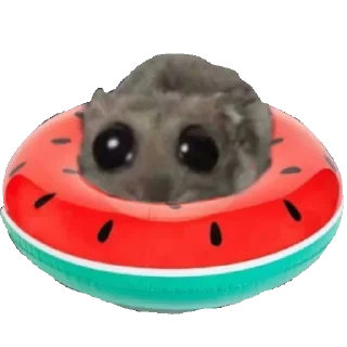 🩱