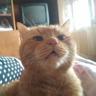 😮‍💨