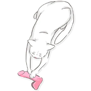 👌