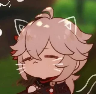😽
