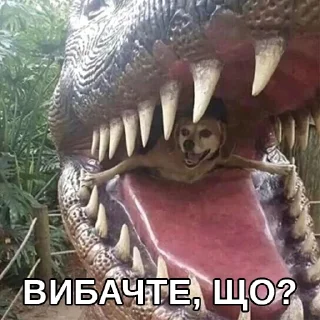 😨