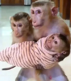 👶