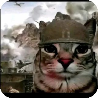 👍
