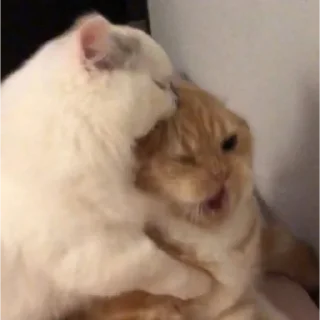 😋