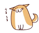 🐶