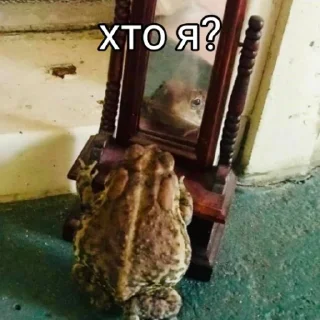 🧐