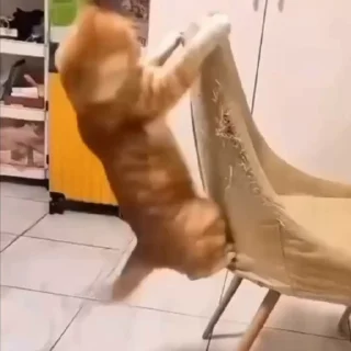 😡