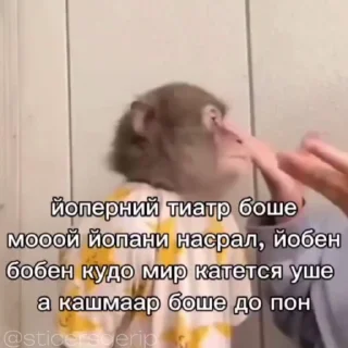 😂