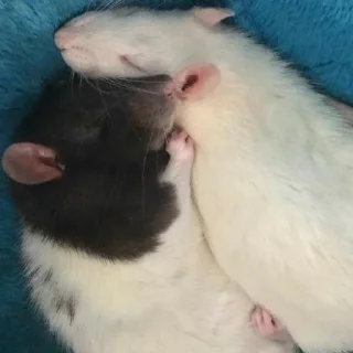 ❤️