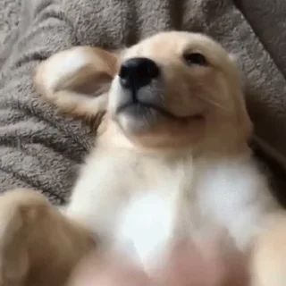 😆