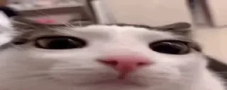 👀