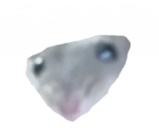 🧐