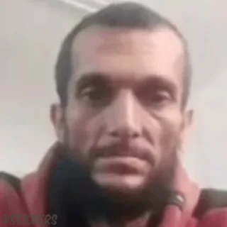 🙀