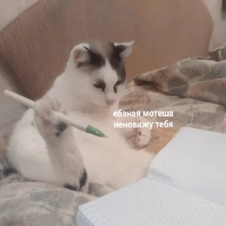😑