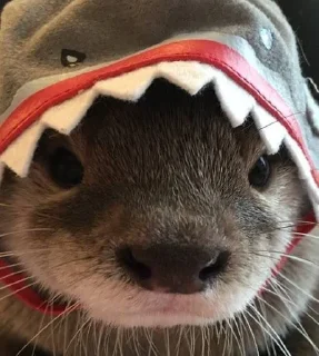 🙂