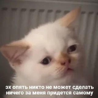 😒