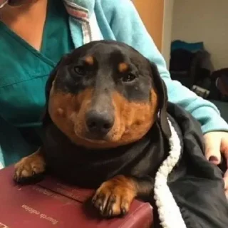 😏
