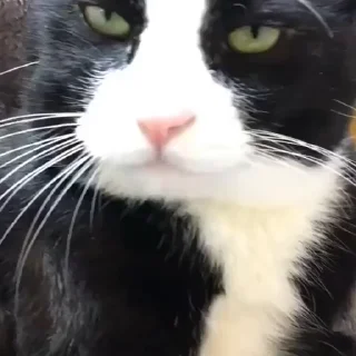 😋