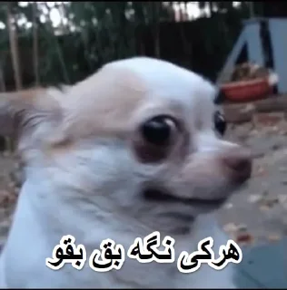😐