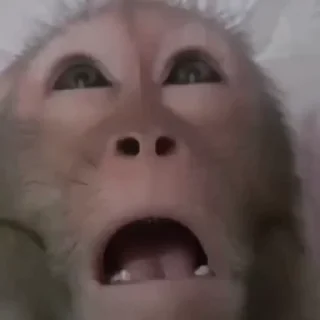 😳