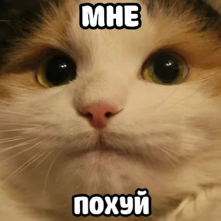 👌
