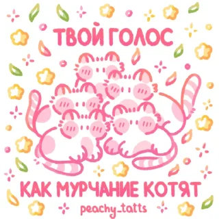 🐈
