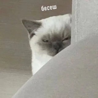 😠