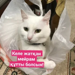 🎊