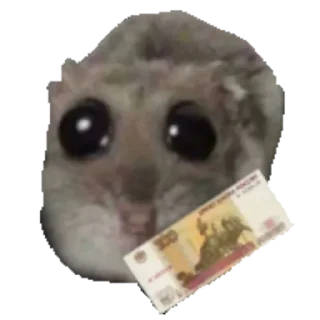 💵