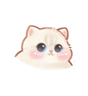 🌟