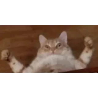 😳