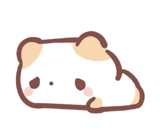 ⭐️