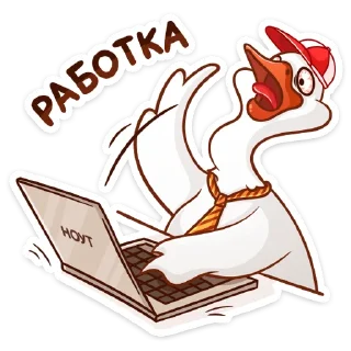 💻