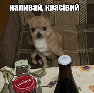 🍷
