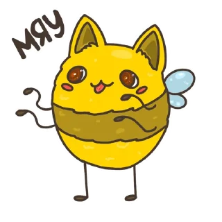 🐱