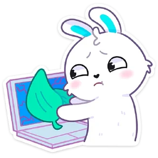 🐰