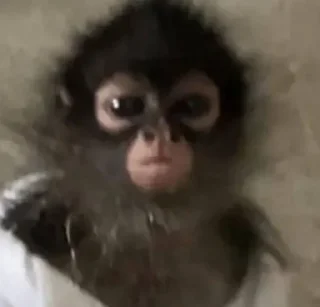 😠