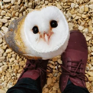 🙂